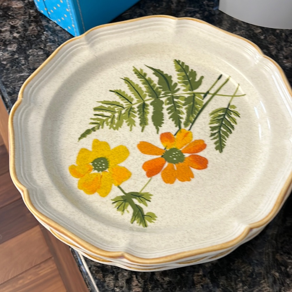 Mikasa Garden Club Plates
